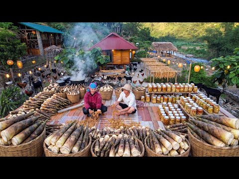 Huge Bamboo Shoot Harvest & How We Preserve Them for Years | Off-Grid Vietnam