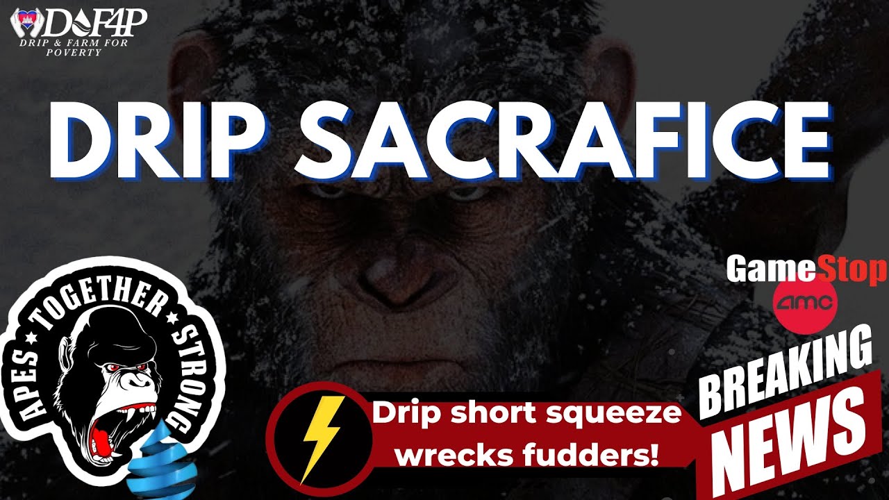 Drip Network how the drip community can short squeeze and Rekt