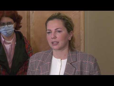 ერთადერთი „რეფორმა\