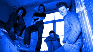 Celebrity The Frantic Elevators - I'm Not To See Her (Peel Session) Net Worth