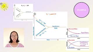 Explain Chemical Equilibrium In Terms Of The Reaction Rates Of The Forward And The Reverse Reaction