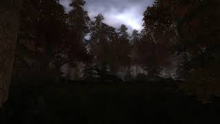S.T.A.L.K.E.R. CS Atmosphere - Red Forest