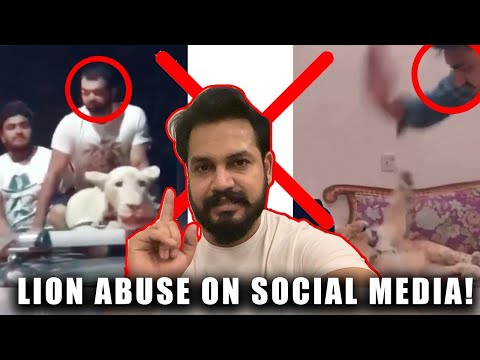 LION ABUSE ON SOCIAL MEDIA | AZLAN SHAH