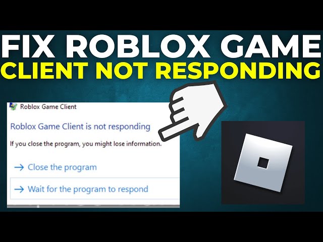 BUG] Roblox Game Client has stopped working after 2 - 15 minutes