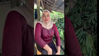 Live Tiktok Basah Basahan