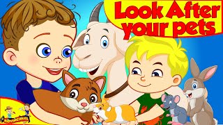 Look After Your Pets | Videos for Kids