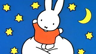 Miffy Hat Einen Wundervollen Traum Miffy Zusammenstellung