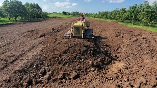 Amazing Huge Land Filling For Foundation By Skill Operation Dozer Pushing Soil And 5ton Dump Trucks 