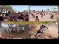 Qophii Sagalee Bosonaa ONM ABO Adoolessa 26 2025 Qophii Sagalee Bosonaa ONM ABO Adoolessa 26 2025