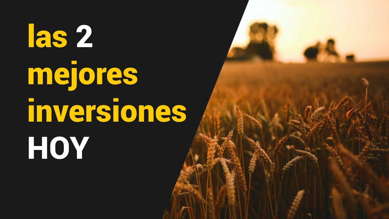 Como Invertir En Commodities