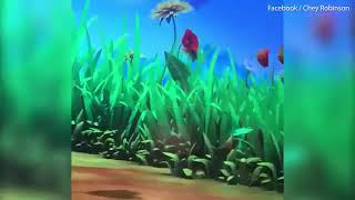 Download lagu Is Maya the bee showing resque image Is Maya the bee showing resque image