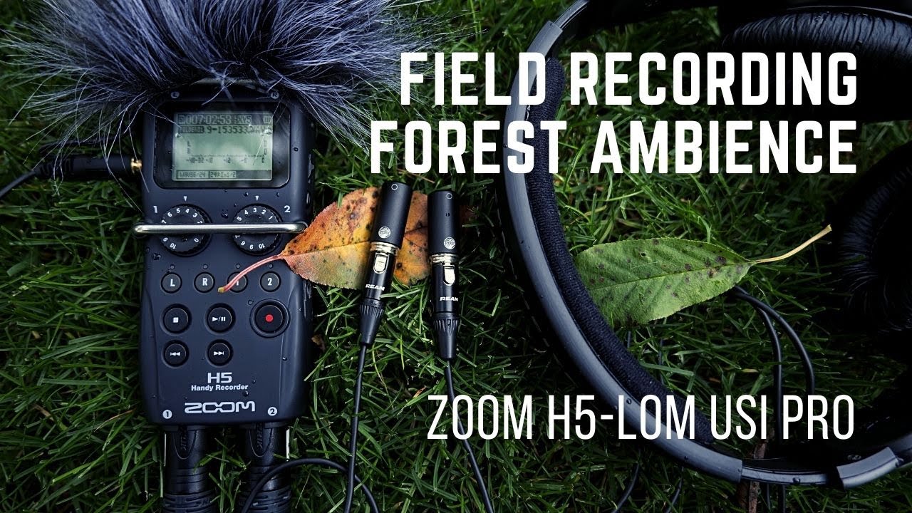 ZOOM H5 - LOM USI PRO mic Forest Ambience Sound | Windy Day no Many Birds Around | 