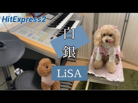 白銀  LiSA  エレクトーン演奏
