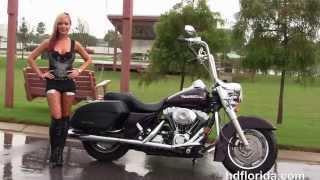 Used 2005 Harley Davidson Road King Custom Motorcycles for sale in Florida