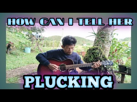 PLUCKING | HOW CAN I TELL HER | REGENE NUEVA SR COVER