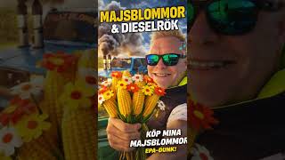 Leo Carlsson - Majsblommor &amp; Dieselrök
