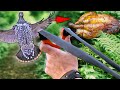 Slingshot Grouse Hunt Catch & Cook | Shotgun Goose Bushcraft Bird Roast