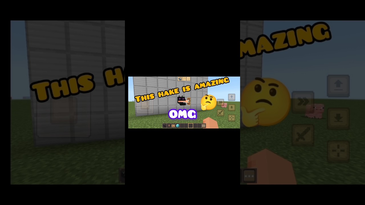 This Minecraft hake is amazing🤔😱