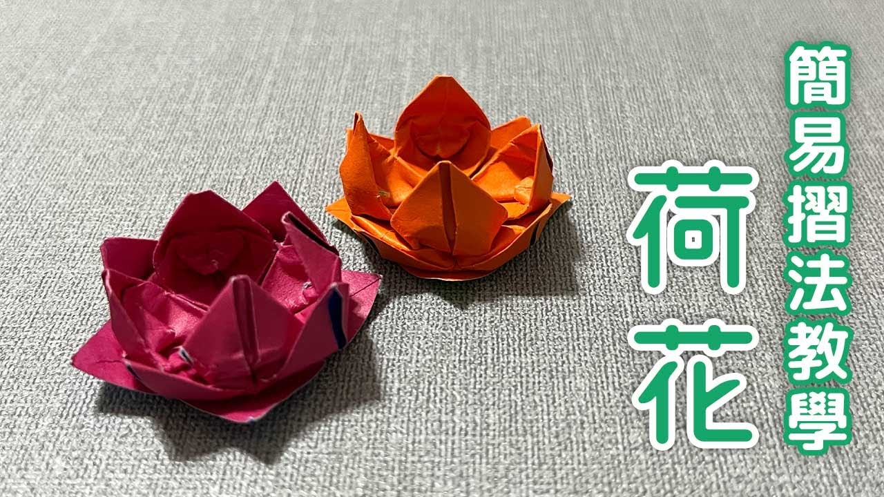 荷花 Water Lily 簡易摺法｜中式荷花燈｜摺紙教學