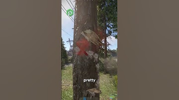 Rust Beginner Tips Part 4