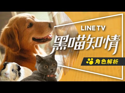 🐶 解析🐶 什麼人養什麼寵：黑喵知情前8集重點解析｜3隻毛孩眼裡的3位主角｜Animal Whisper