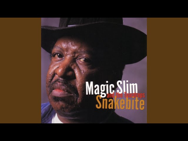 Magic Slim & The Teardrops - Please Don't Dog Me