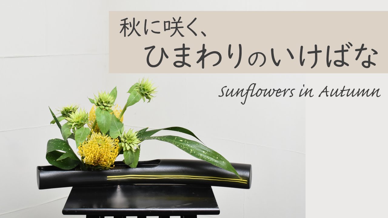 【秋に映えるひまわりのいけばな】 初心者でもコツが分かればとっても簡単！ 生け方の基本からアレンジまでサクッと紹介。Japanese ikebana lesson for beginners