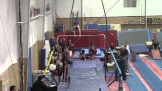 2015 Winter Carnival  Horizontal Bar
