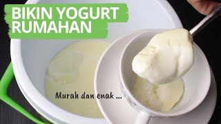 Begini Cara Membuat YOGURT Homemade dari Susu Murni/UHT Lengkap!