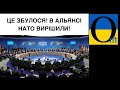 Ох! Що зараз почнеться у Кремлі! ІСТОРИЧНИЙ день! Безпековий Альянс НАТО запрошує Україну!