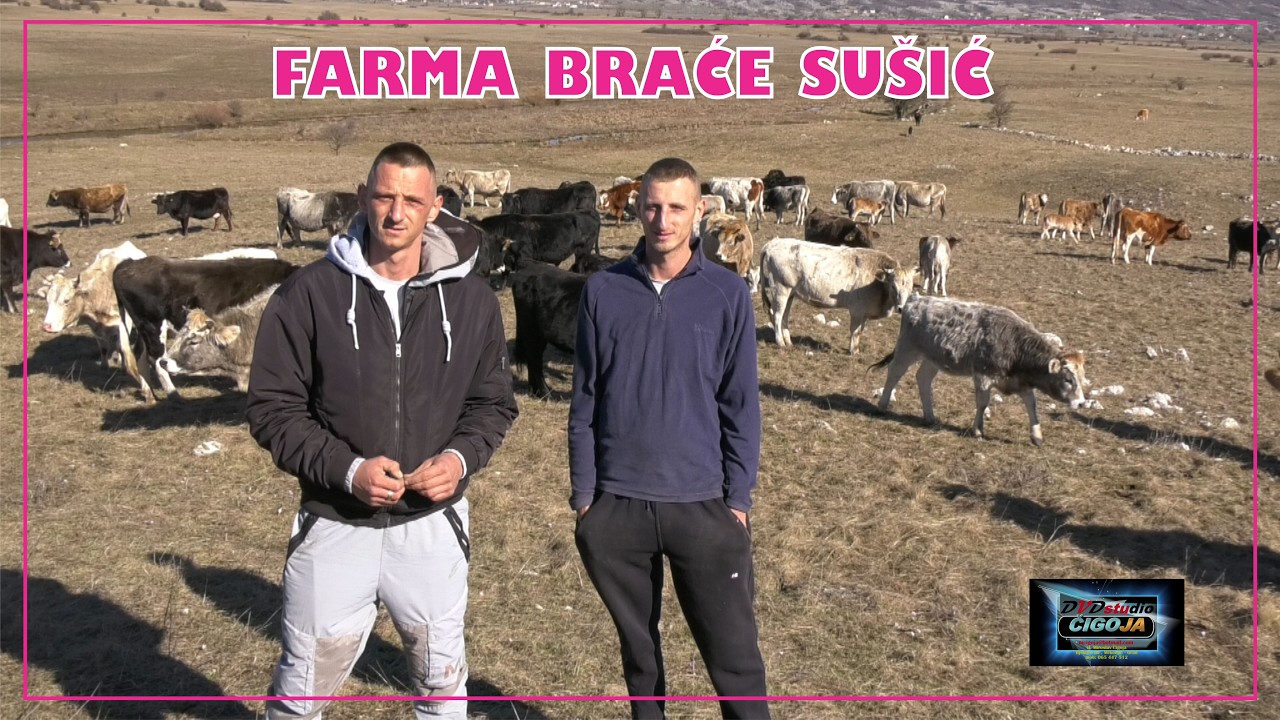 - DVA BRATA, OSMERO DJECE I STO ŠEZDESET KRAVA, GATAČKO POLJE 2026