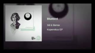 Stil & Bense Bluebird screenshot 4