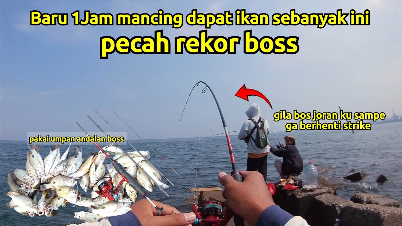 PECAH REKOR‼️ Baru 1 jam mancing dapat ikan sebanyak ini , mancing di spot Ancol terbaru 