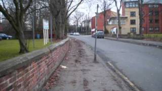 daisy bank