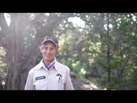 Video: Pet Resort Terbuka Kepada Pelawat Grand Canyon
