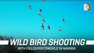 Wild Bird Shooting in Namibia, Africa | EP. 07 | 4K screenshot 4
