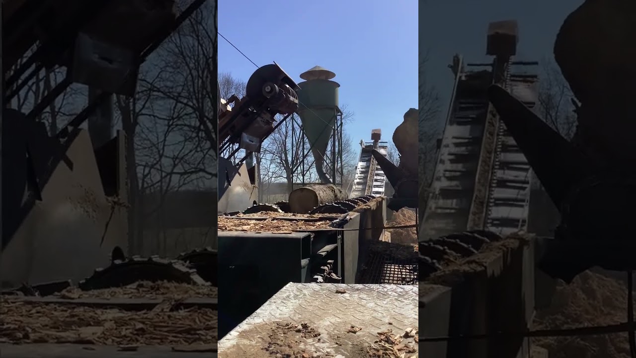 Satisfying bark removal on Hickory logs.