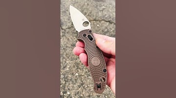 Is This The Perfect EDC? 15V Manix 2 LW #shorts #15vmanix2 #spyderco