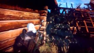 Witcher 3 Bug - Geralt Jumping