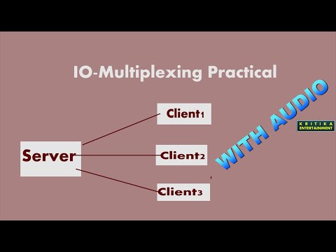 i/o multiplexing in
