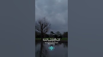 ناصر القطامي || تلاوة من سورة الأنعام || ((وإذا جآءك الذين يؤمنون بآياتنا فقل سلامٌ عليكم))