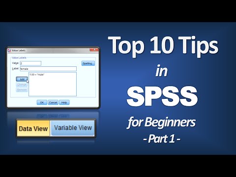 Top 10 Tips for Beginners in SPSS – Introduction to SPSS (Part 1)
