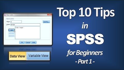 Top 10 Tips for Beginners in SPSS – Introduction to SPSS (Part 1)