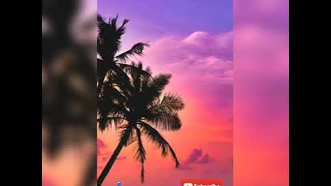 ما تيسر من سورة يوسف ( إسلام صبحي )