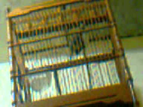 Trucukan jos.3gp