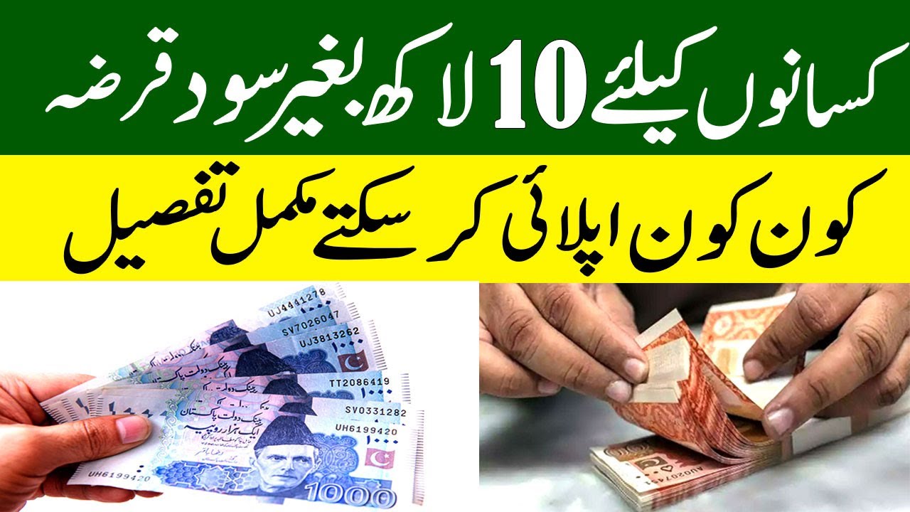 Программа Asaan Digital Qarza | Программа фермерского кредитования 2026 || Как подать заявку || Н...