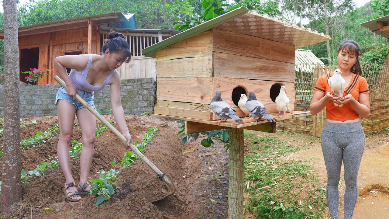 150 Days Full Video: CEO Girl Build Green Farm, Grow Vegetable, Raising Pigeons And Geese