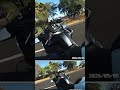 California patrol officer rescues cat from busy freeway