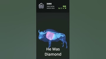 🐟My Biggest Plains Bison!!🔥- Call Of The Wild #shorts