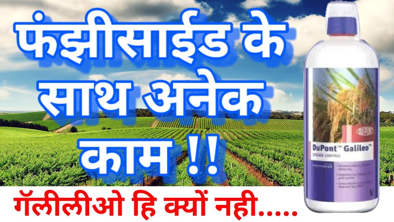 galileo fungicide/galileo fungicide price/galileo dupont fungicide